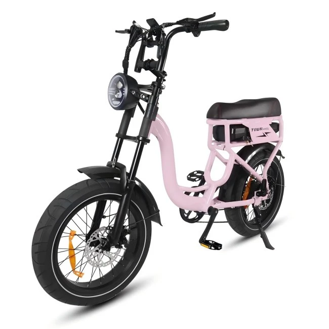 20 pneu gras velo électrique pliable